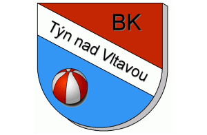 tyn logo1.gif